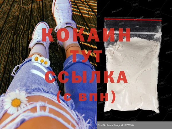 крисы Ачинск
