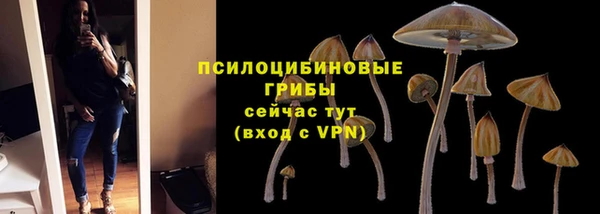 крисы Ачинск