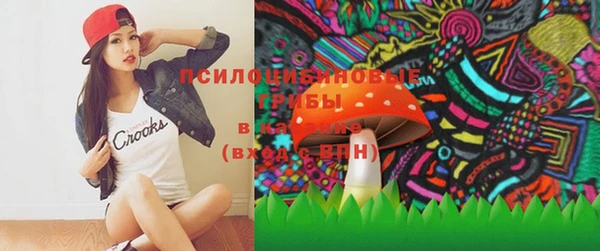 крисы Ачинск