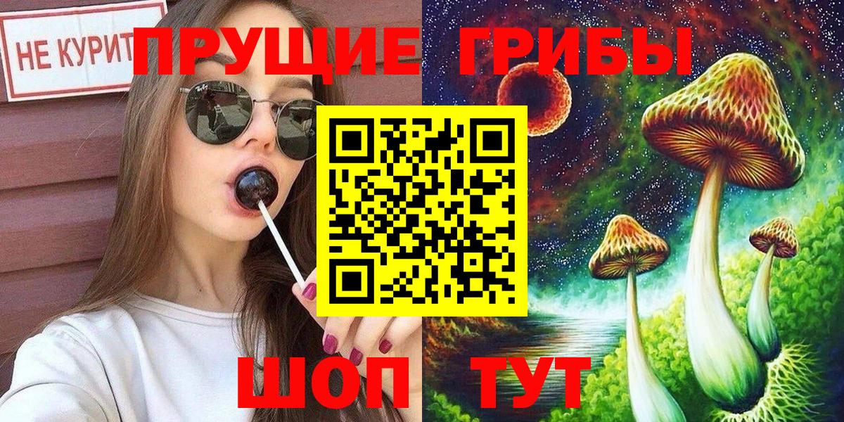 Псилоцибиновые грибы Psilocybine cubensis  Вход с VPN  Боровичи 