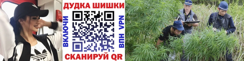 где продают наркотики  Боровичи  маркетплейс как зайти  МАРИХУАНА семена 
