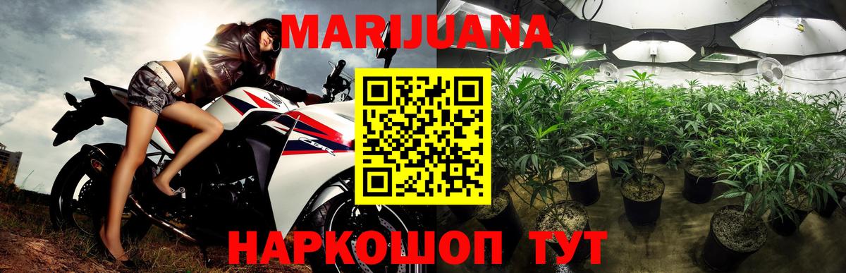 Каннабис White Widow Боровичи